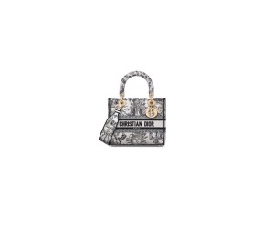 Dior Medium Lady D-Lite Bag