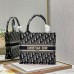 SMALL DIOR BOOK TOTE