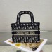 MINI DIOR BOOK TOTE