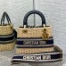 Medium Lady Dior Bag