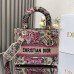Medium Dioriviera Lady D-Lite Bag