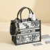 Small Dior Book Tote