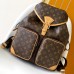 Diorstar Hobo Bag with Chain