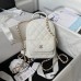 Louis Vuitton CAPUCINES MM