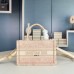 DIOR Mini Dior Book Tote