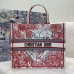 DIORAMOUR DIOR BOOK TOTE