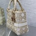 Dior Medium Lady D-Lite Bag