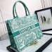 Medium Dioriviera Dior Book Tote