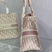 SMALL DIOR BOOK TOTE