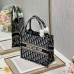 SMALL DIOR BOOK TOTE