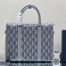 DIOR LINGOT BRIEFCASE