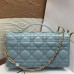MISS DIOR MINI BAG