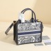 Small Dior Book Tote