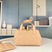 SMALL DIOR TOUJOURS BAG
