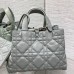 Dior Toujours Medium