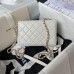 CHANEL CAMERA BAG