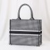 SMALL DIOR BOOK TOTE
