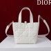 Small Dior Toujours Vertical Tote Bag(high-end grade)