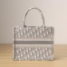 SMALL DIOR BOOK TOTE