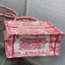 Small Dioriviera Dior Book Tote