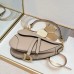 Dior Saddle Bag with Strap