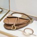 Dior Saddle Bag with Strap