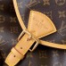 Diorstar Hobo Bag with Chain