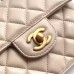 Louis Vuitton VANITY PM BAG