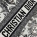 Medium Dior Book Tote