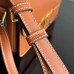 CELINE TEEN TRIOMPHE BAG