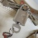 LV Alma BB Bag