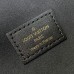 LV Vanity Chain Pouch(HIGH-END GRADE)