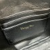 Diorstar Callisto bag