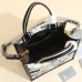 Small Dior Book Tote