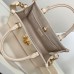 LV LOCK & GO Bag