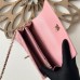 CHANEL Chain Clutch