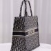 Small Dior Book Tote
