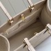 Small Dior Toujours Vertical Tote Bag(high-end grade)